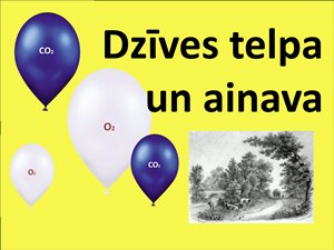 Bilde