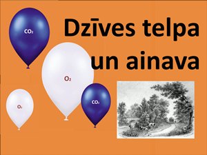 Bilde