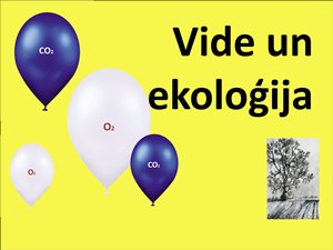 Bilde
