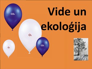 Bilde