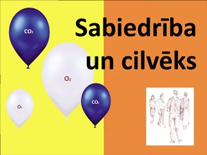 Bilde