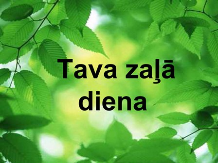 Bilde